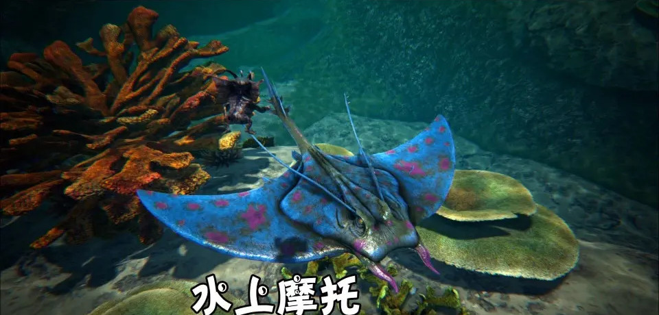 方舟生存进化蝠鲼驯服吃什么