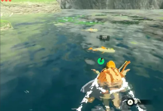 塞尔达新手村怎么抓鱼