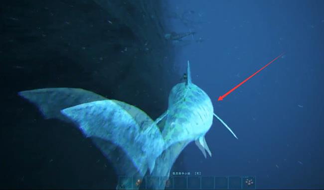 方舟托斯特巨鱿怎么驯服