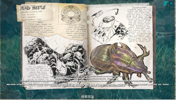 方舟生存进化各种龙的巡逻功能是什么_方舟中不同种类的龙有哪些巡逻功能