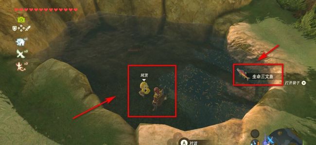 塞尔达传说生命三文鱼在哪抓_塞尔达荒野之息生命三文鱼捕捞指南