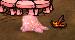 饥荒冷冻虫卵怎么获得_获得饥荒中冷冻虫卵的方法及注意事项详解