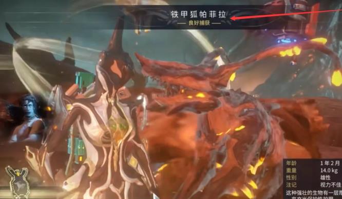 warframewarframe星际战甲月刃狐帕菲拉怎么抓_如何在Warframe中捕捉月刃狐帕菲拉
