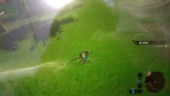 塞尔达传说蚱蜢去哪抓