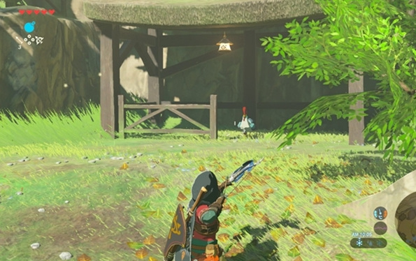 塞尔达传说咕咕鸡在哪找_塞尔达传说荒野之息咕咕鸡的寻找之旅