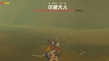 塞尔达传说可盖最后怎么打_塞尔达传说荒野之息最终Boss攻略