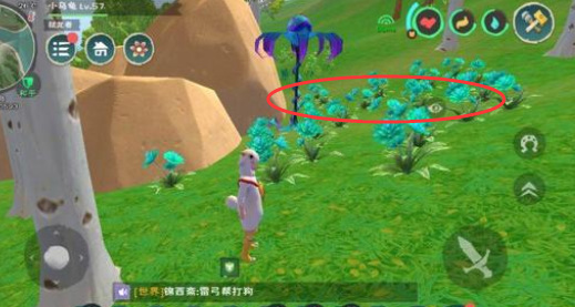 创造与魔法手游小青花在哪_探寻魔法世界玩转创造与魔法手游