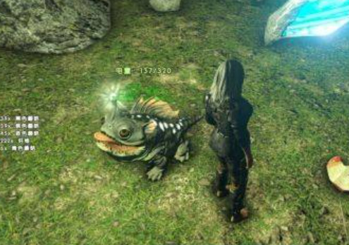 方舟灯泡犬怎么放下