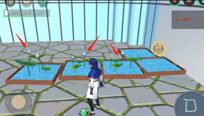 创造与魔法手游蓝莲多久成熟