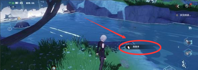 幻塔手游鱼腥草在哪_幻塔手游寻找鱼腥草的攻略