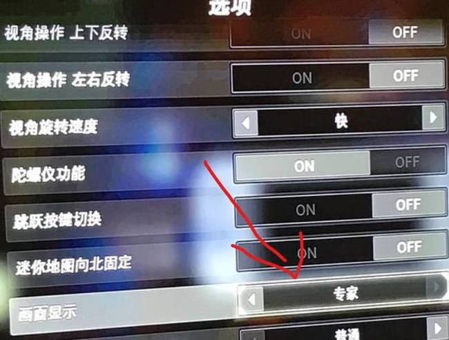 塞尔达小地图怎么开