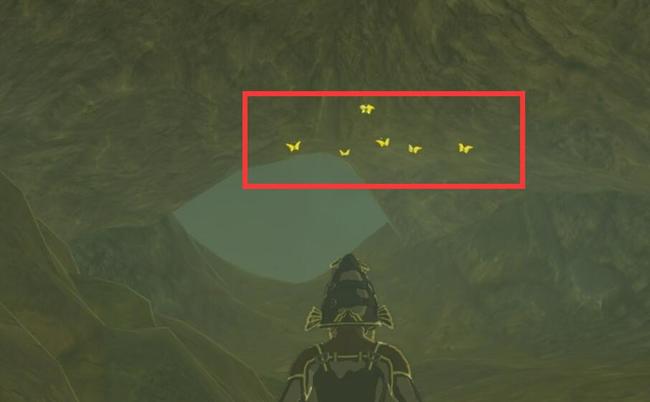 塞尔达传说蝙蝠的眼珠哪里刷_塞尔达传说荒野之息中蝙蝠眼珠在哪里找