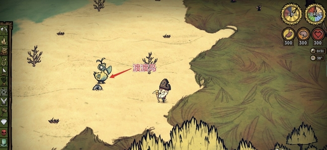 饥荒渡渡鸟怎么抓回家_饥荒中如何捕捉渡渡鸟