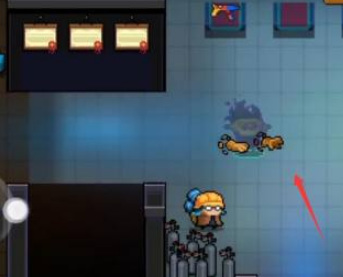 元气骑士手游金面猴王皮肤怎么用