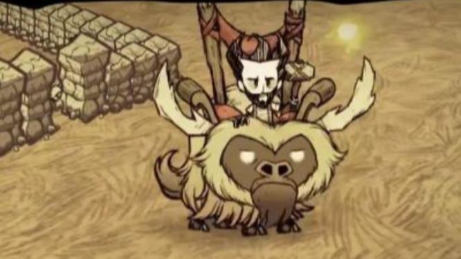 饥荒驯牛怎么看驯服值_如何评估饥荒中驯服牛的价值