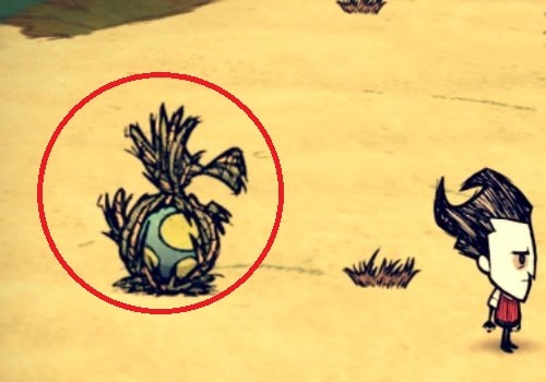 饥荒怎么给渡渡鸟剃毛_如何剃渡渡鸟的羽毛