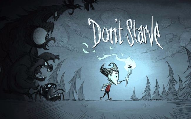 饥荒空的长生不老药有什么用