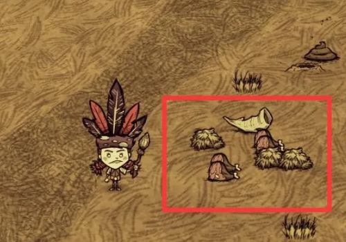 饥荒新手怎么开荒_饥荒小白如何开荒生存世界