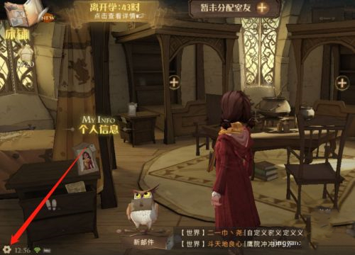 哈利波特：魔法觉醒兑换码在哪输入