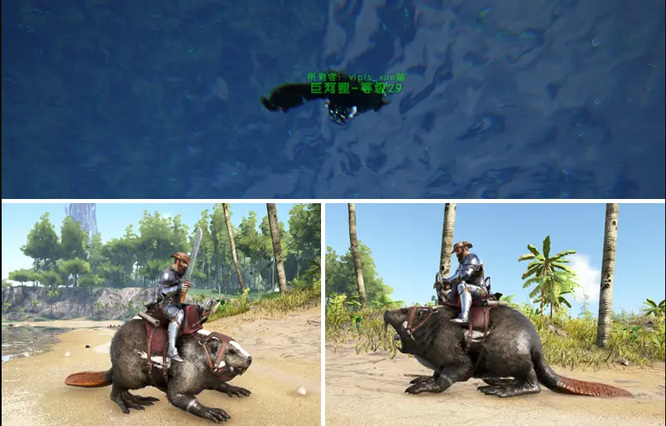 方舟生存进化前中后期抓龙顺序是什么_方舟生存进化如何有序抓取龙