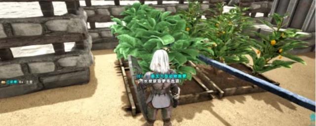 方舟生存进化蔬菜蛋糕配方在哪