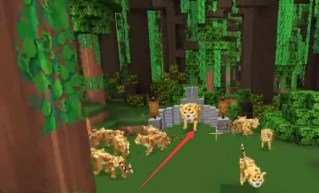 迷你世界手游中的豹子怎么驯服_如何在迷你世界手游中驯服豹子