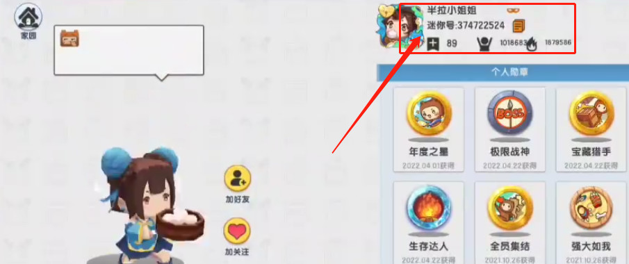 迷你世界手游大佬半拉的迷你号是多少