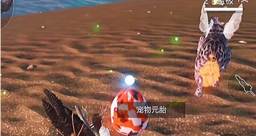 妄想山海手游哪里最容易捡到蛋