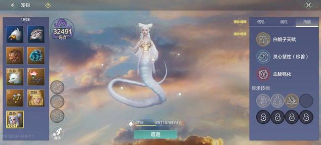 妄想山海手游宠物技能书战力表是什么样的