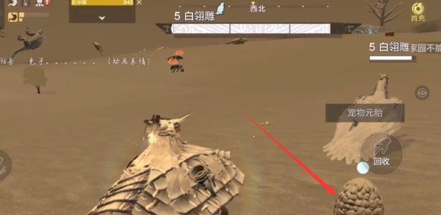 妄想山海手游有限怎么获得_妄想山海手游攻略如何获得稀有道具