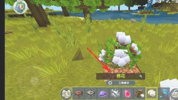 迷你世界手游棉花树在哪里能找到_在迷你世界手游中如何找到棉花树