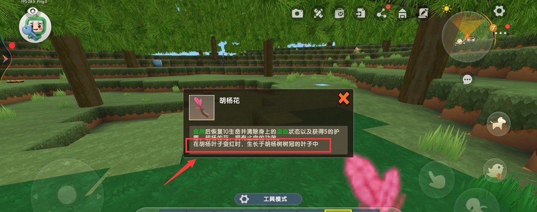 迷你世界手游胡杨花怎么找