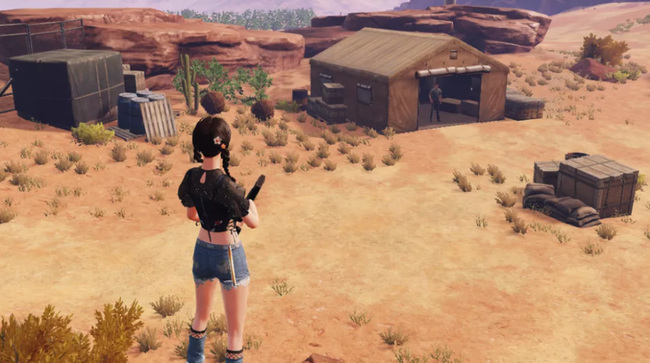 明日之后手游防沙护林怎么做_明日之后植被保护与防沙策略