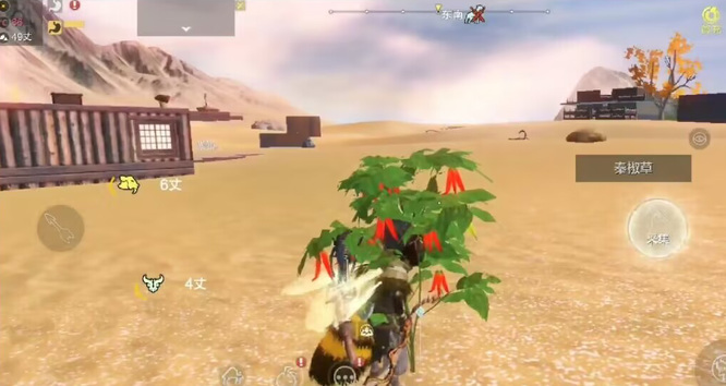 妄想山海手游辣椒在哪