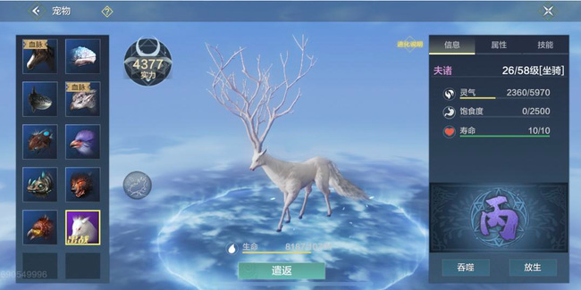 妄想山海手游龙马和夫诸哪个好_对比妄想山海龙马和夫诸哪个更好玩