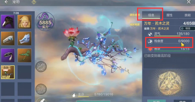 妄想山海手游宠物体力怎么看_妄想山海手游如何管理宠物体力