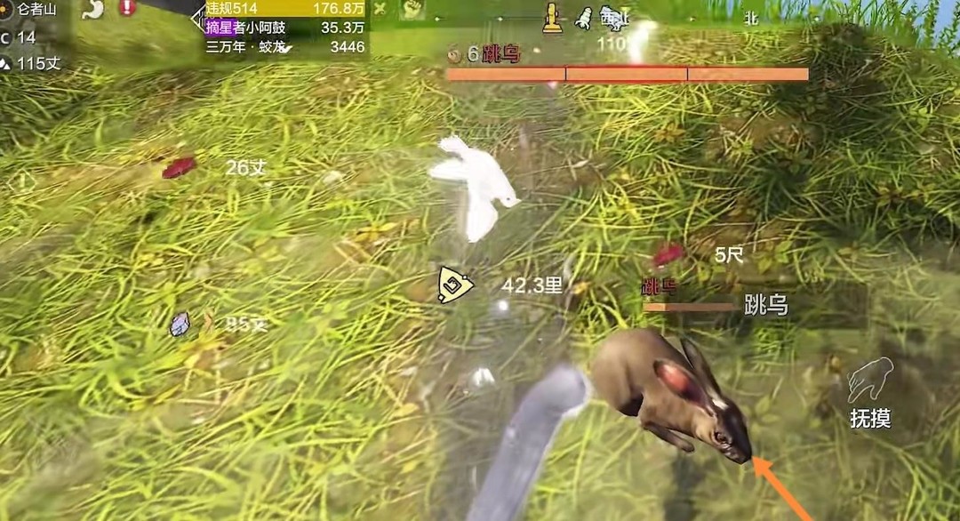 妄想山海手游跳乌在哪里_妄想山海乌跳之地