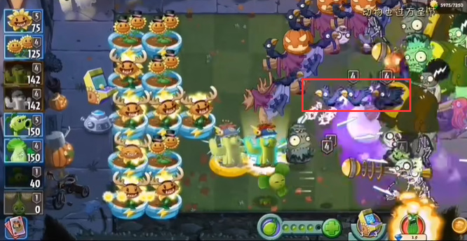 pvz2植物大战僵尸2怎么防止鸟叼走 植物大战僵尸2有效防御鸟儿攻击的方法