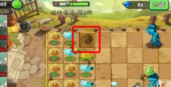 pvz2植物大战僵尸2太极图标是什么