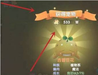 摩尔庄园手游怎么抓精灵 摩尔庄园手游如何成功捕获精灵