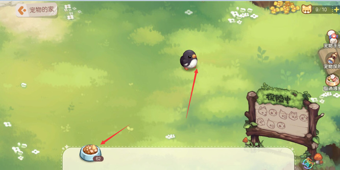 奥比岛手游怎么养宠物 奥比岛手游攻略如何照顾您的宠物