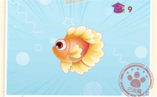 阳光牧场神秘湖全天都可以获得的鱼类有什么