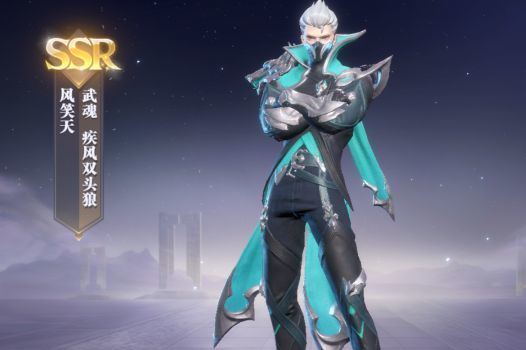 魂师对决风笑天魂环怎么加