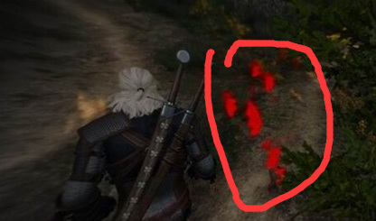 巫师3白果园的野兽怎么做 巫师3狂猎