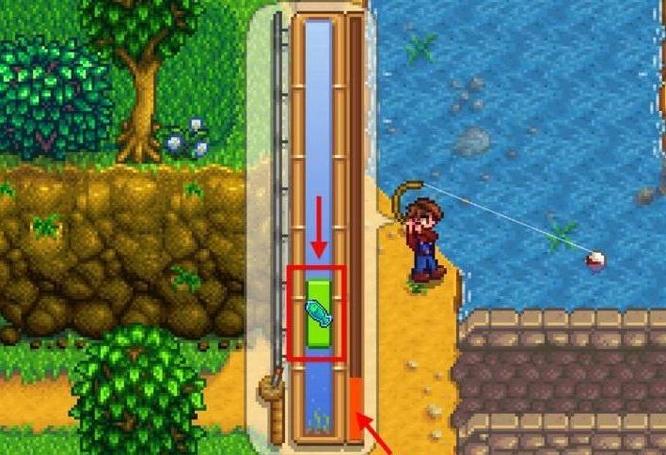 星露谷西鲱鱼在哪里钓 星露谷物语西鲱鱼的钓点