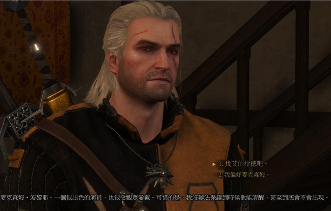 巫师3盛大演出最佳选择是什么