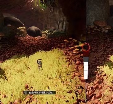 如何通过关卡-擅闯禁地 如何双人合作通过擅闯禁地游戏中的关卡