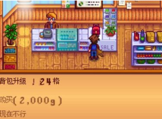 星露谷物语物品栏满了怎么办