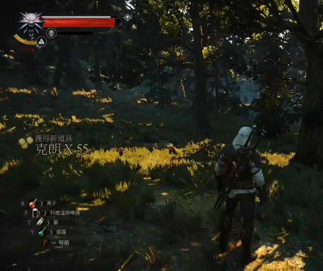 野性之心任务怎么做 狂猎巫师3野性挑战