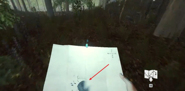 森林攻略秘籍如何通关 森林攻略通关秘籍大揭秘